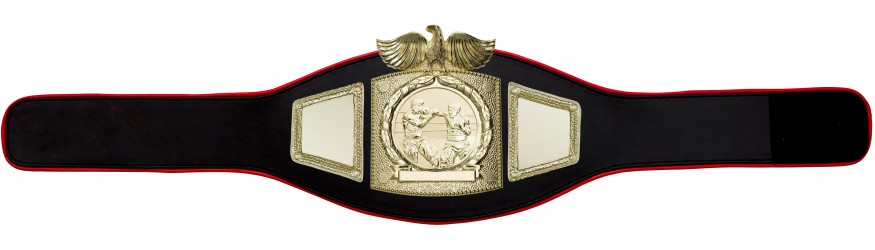 PROEAGLE BOXING CHAMPIONSHIP BELT - PROEAGLE/G/BOXG - AVAILABLE IN 6+ COLOURS